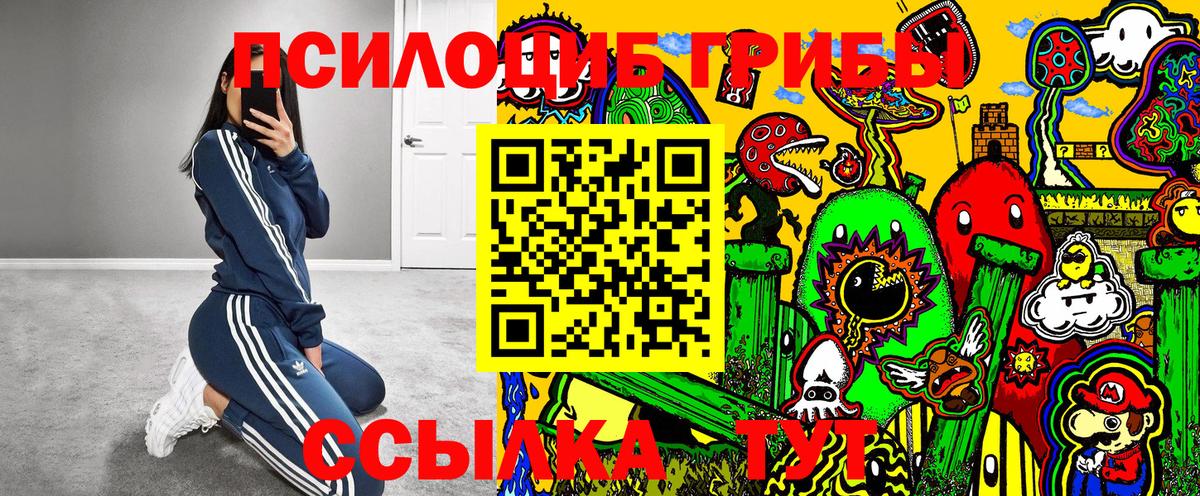 Псилоцибиновые грибы мицелий Бугуруслан